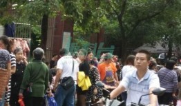 重庆大雨网最新爆料,暴雨来袭，城市应对挑战纪实